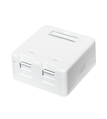 Keystone Media Box 2-port